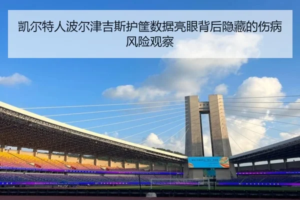 凯尔特人波尔津吉斯护筐数据亮眼背后隐藏的伤病风险观察